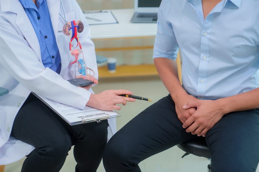 A doctor explaining a urinary system model to a male patient